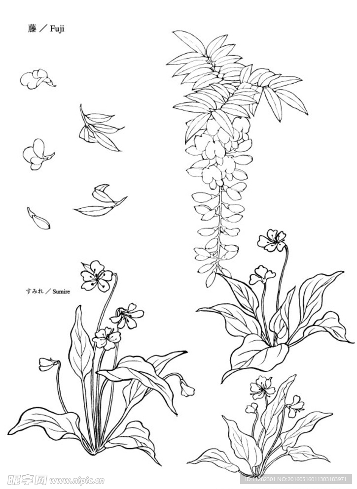 矢量花
