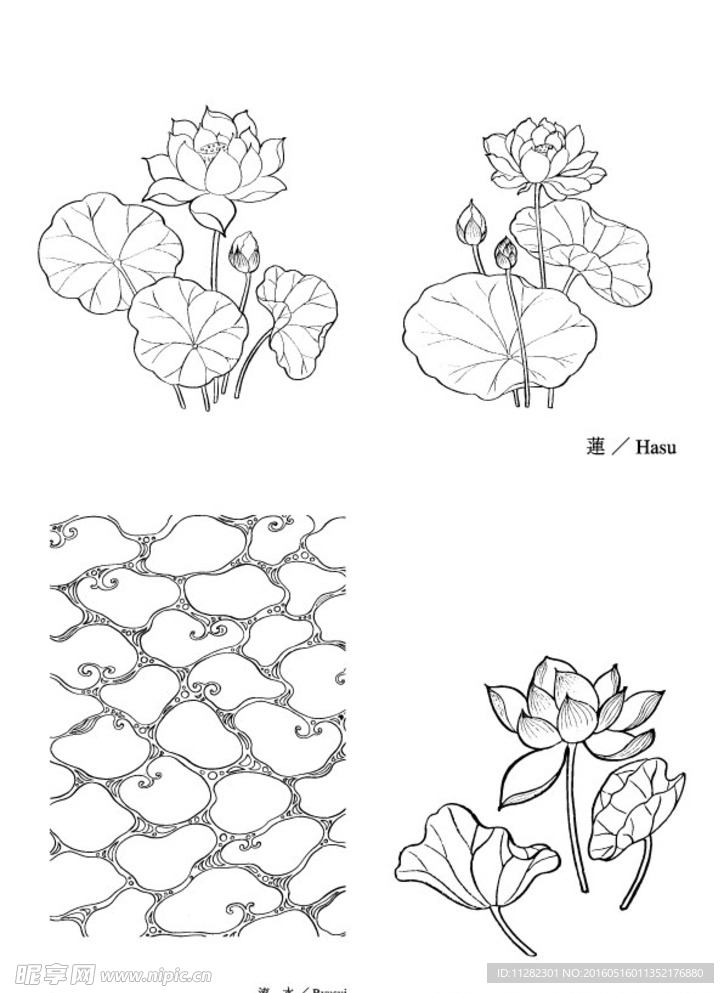 莲花