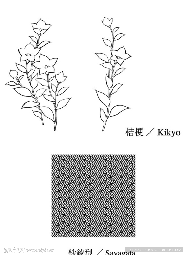 桔梗