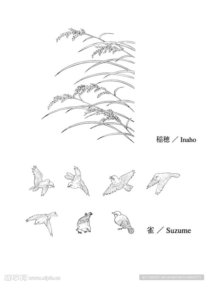 稻穗 麻雀 雀