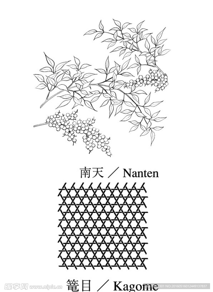 矢量花