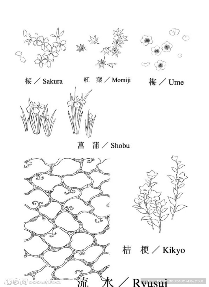 矢量花
