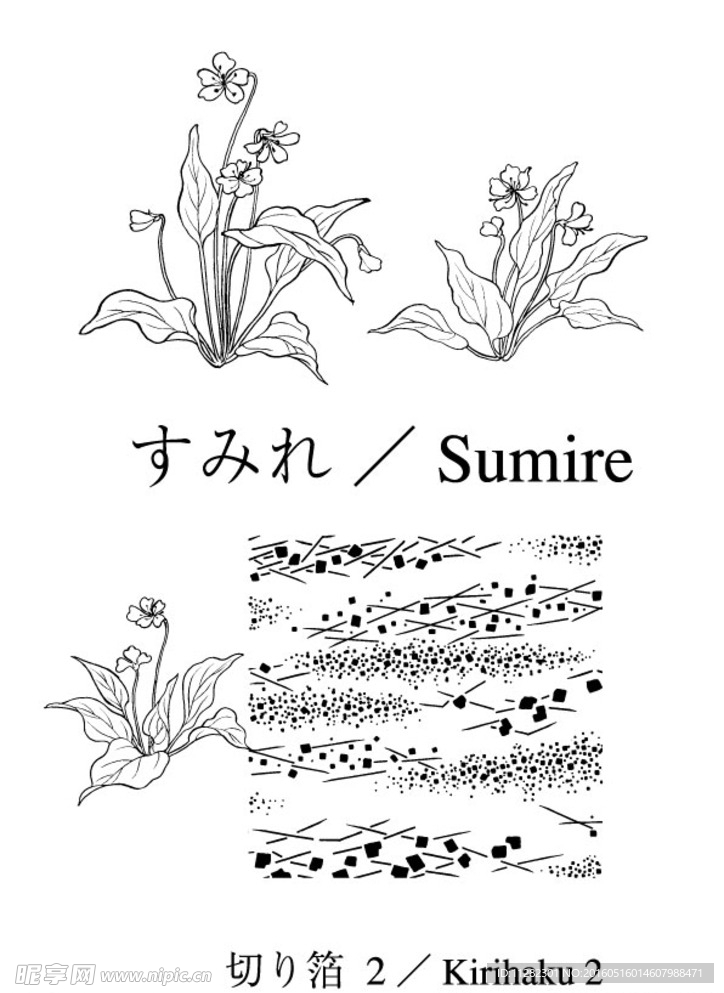 矢量花