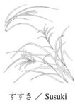 矢量花