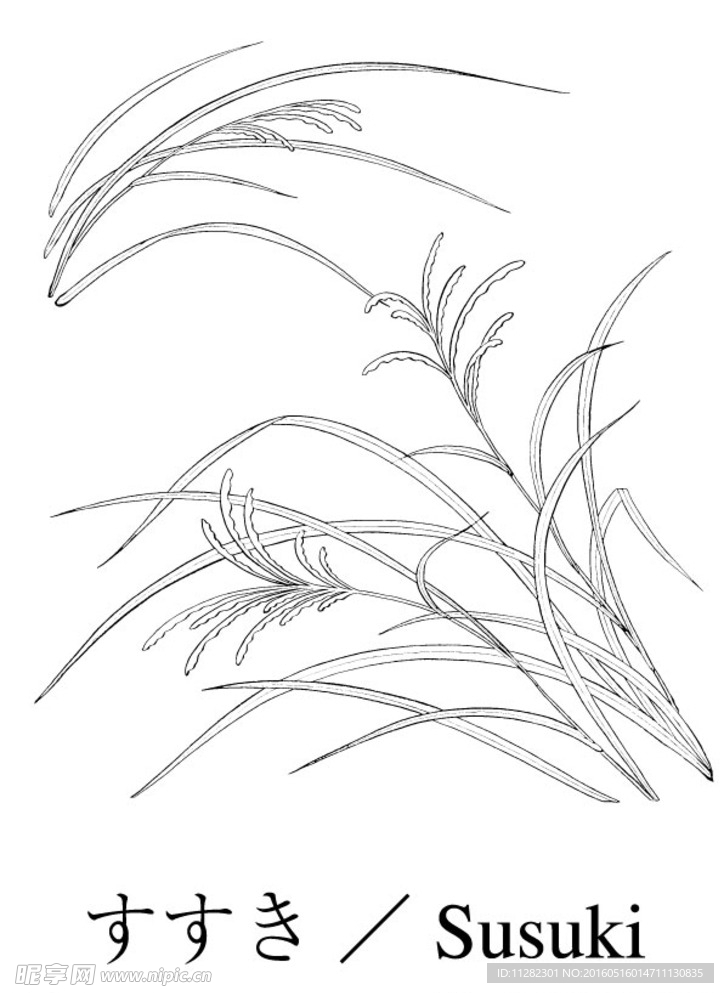 矢量花