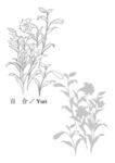 百合