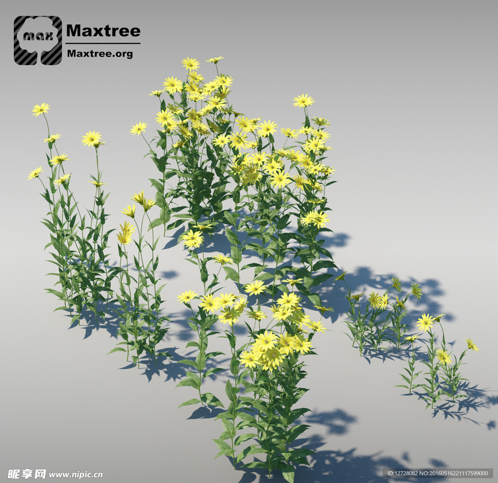 花模型