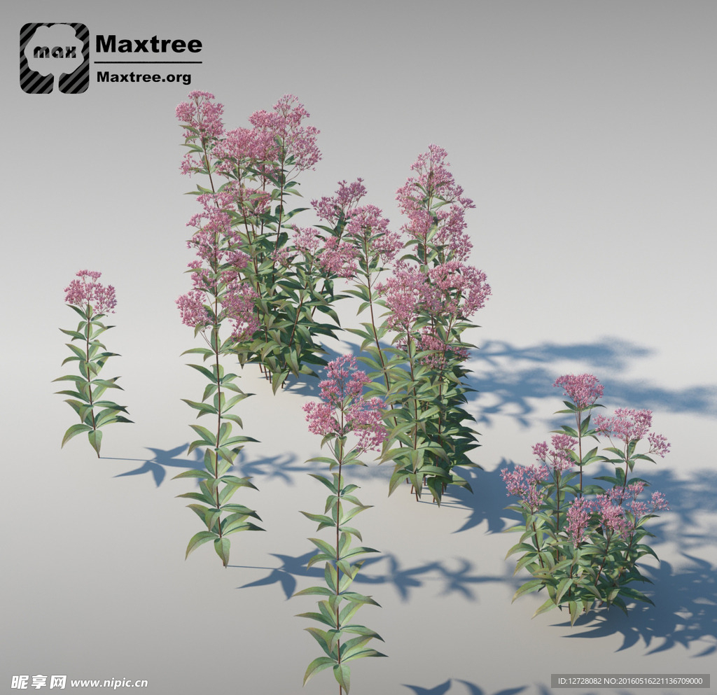 花模型