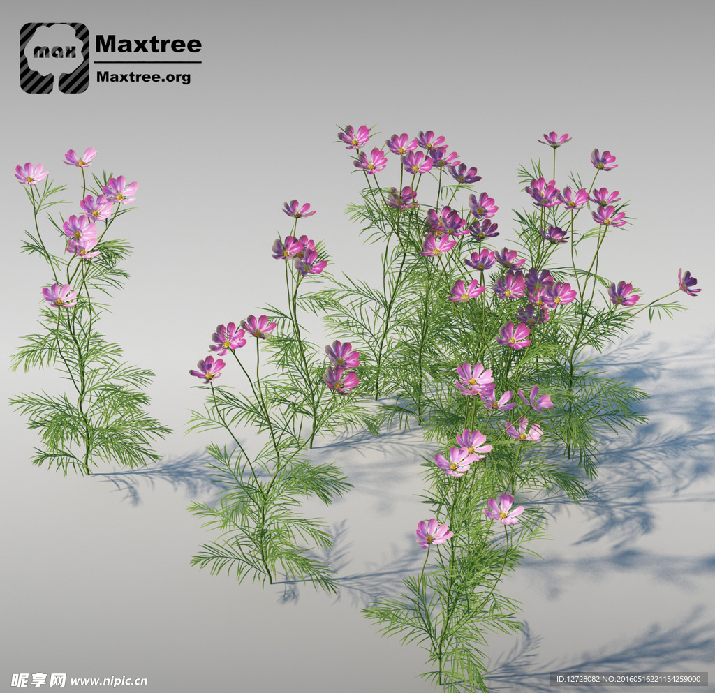 花模型