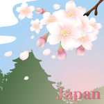 各国精美国花