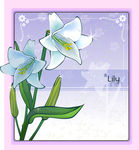 精美花纹底纹