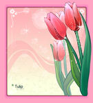 精美花纹底纹