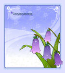 精美花纹底纹