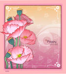 精美花纹底纹