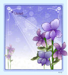 精美花纹底纹
