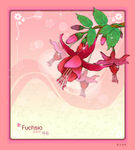精美花纹底纹