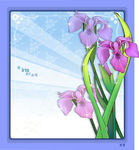 精美花纹底纹