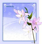 精美花纹底纹