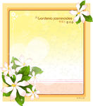 精美花纹底纹