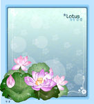 精美花纹底纹