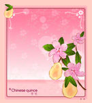 精美花纹底纹