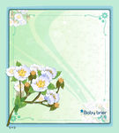 精美花纹底纹