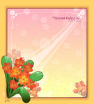 精美花纹底纹