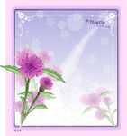 精美花纹底纹