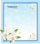 精美花纹底纹