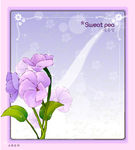 精美花纹底纹
