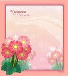 精美花纹底纹
