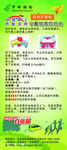 中邮保险展架