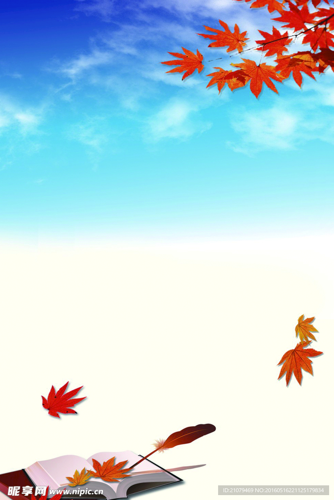 制度背景