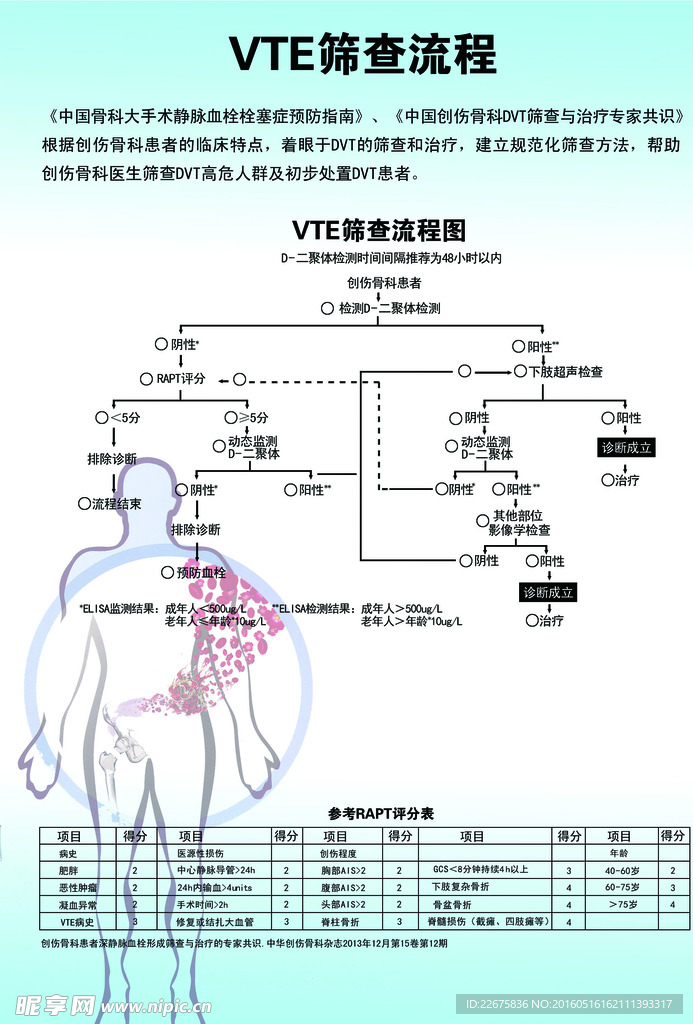 医院筛查流程展板