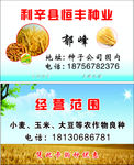 恒丰种业