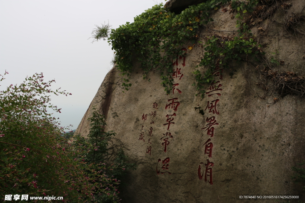青岛