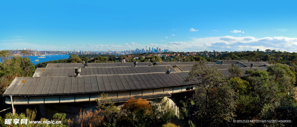 城市全景摄影