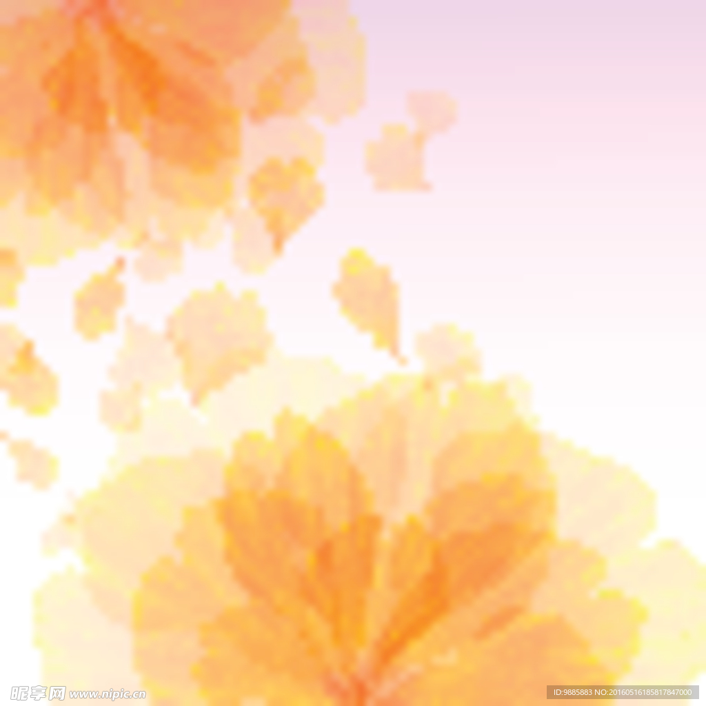 唯美花朵