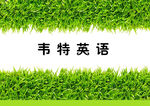 韦特英语
