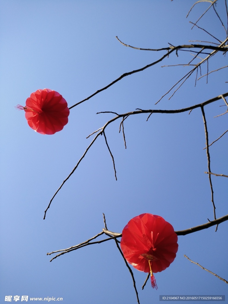 灯笼