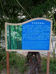 百科小知识