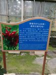 百科小知识