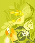 植物插画和长尾鸟