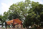 土地公