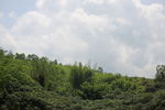 信宜风景