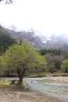 四姑娘山