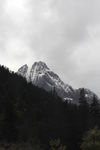 四姑娘山