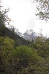 四姑娘山