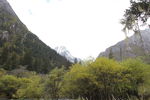 四姑娘山