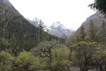四姑娘山